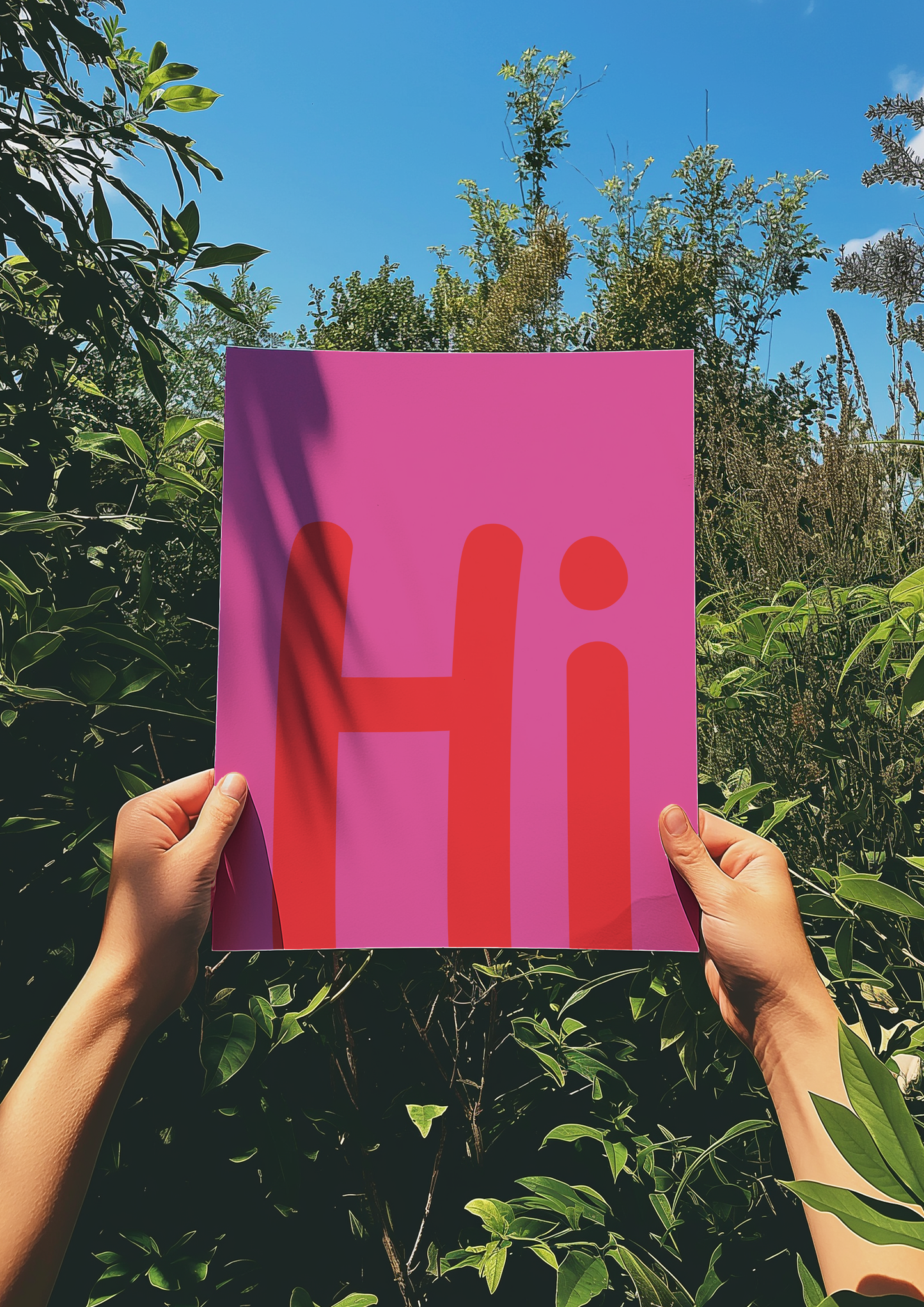 Hi